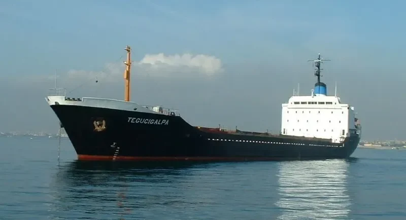 TEGUCIGALPA Bulk Carrier IMO 7387237 photo 5