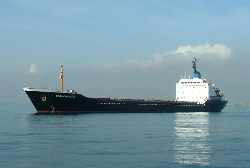 TEGUCIGALPA Bulk Carrier IMO 7387237 photo 6