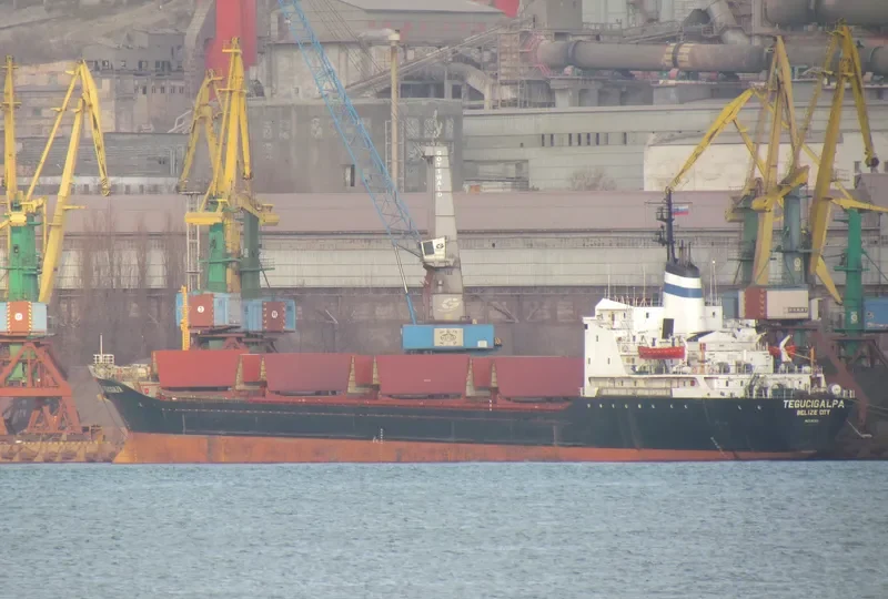 TEGUCIGALPA Bulk Carrier IMO 7387237 photo 7