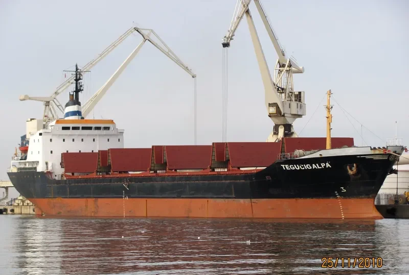 TEGUCIGALPA Bulk Carrier IMO 7387237 photo 8
