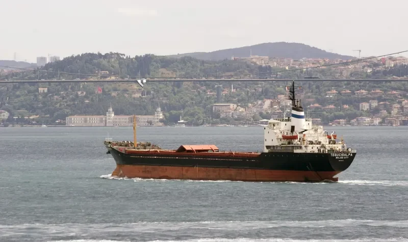 TEGUCIGALPA Bulk Carrier IMO 7387237 photo 9
