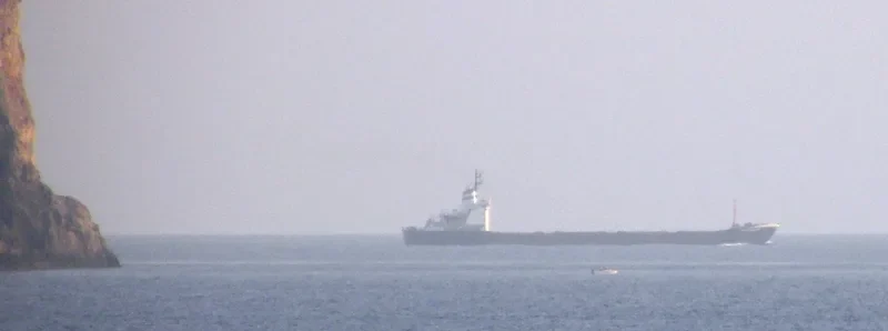 TEGUCIGALPA Bulk Carrier IMO 7387237 photo 10