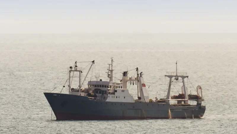 NO.99 OYANG General Cargo IMO 7388310 photo 6