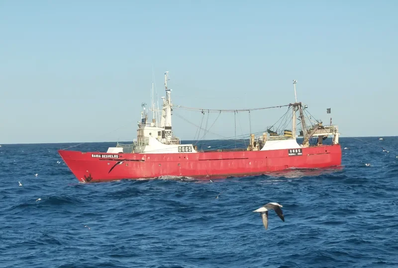 BAHIA DESVELOS General Cargo IMO 7388413
