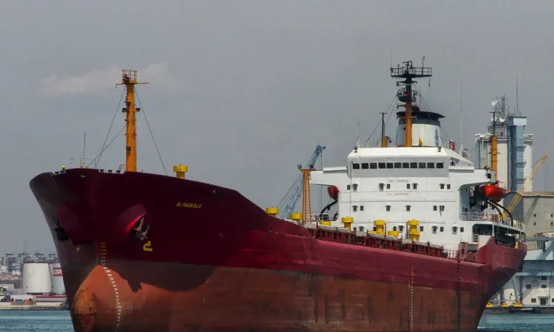G.INEBOLU Bulk Carrier IMO 7389833
