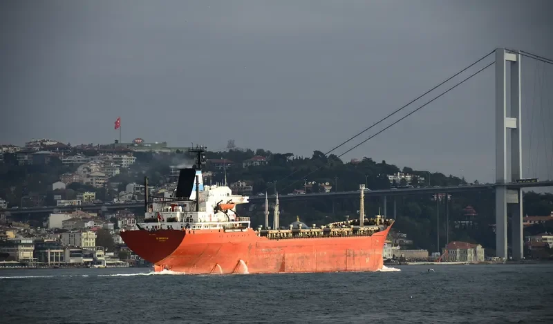 G.INEBOLU Bulk Carrier IMO 7389833 photo 5