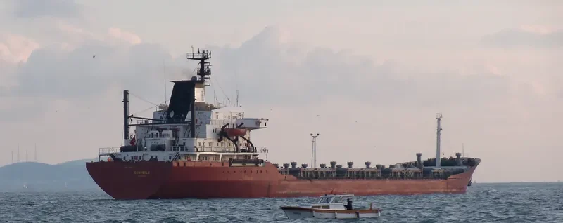 G.INEBOLU Bulk Carrier IMO 7389833 photo 7