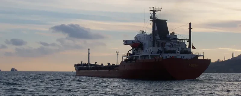 G.INEBOLU Bulk Carrier IMO 7389833 photo 8