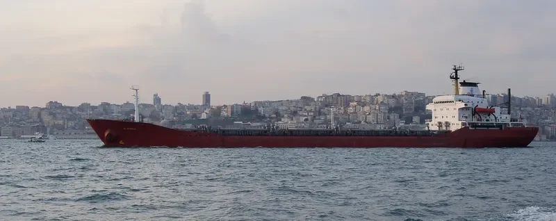 G.INEBOLU Bulk Carrier IMO 7389833 photo 9