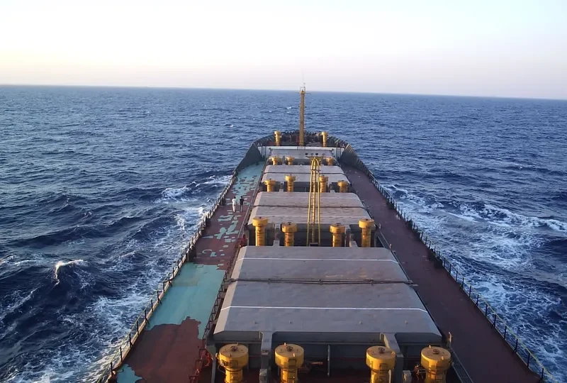 AMIRA S Bulk Carrier IMO 7389845 photo 5