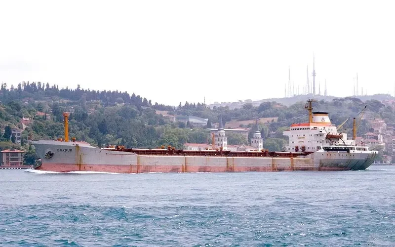 AMIRA S Bulk Carrier IMO 7389845 photo 7
