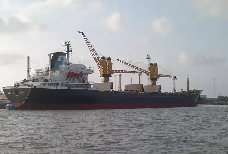 MALLAK Bulk Carrier IMO 7389857 photo 2
