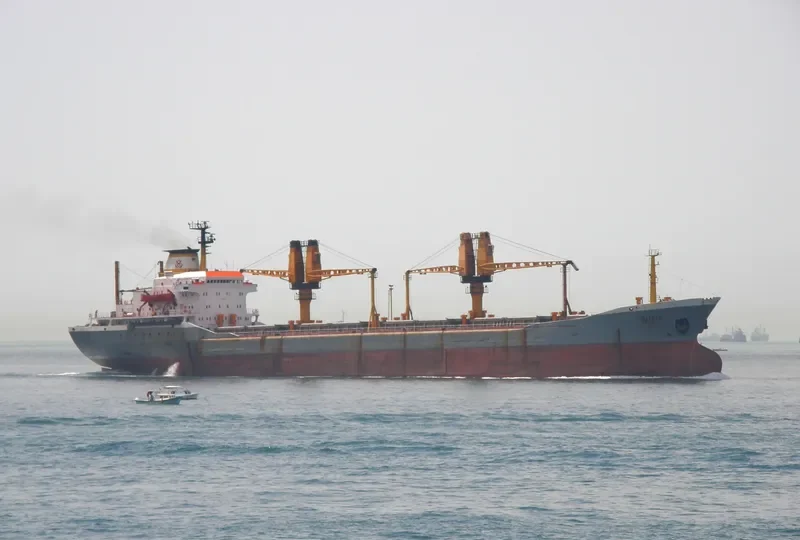 MALLAK Bulk Carrier IMO 7389857 photo 7