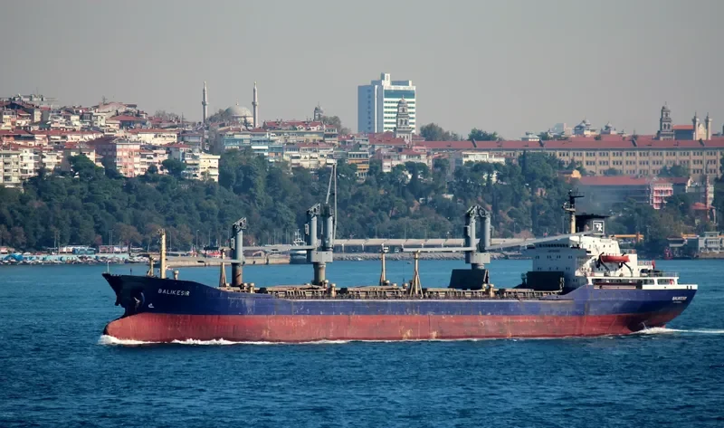BALIKESIR Bulk Carrier IMO 7389883