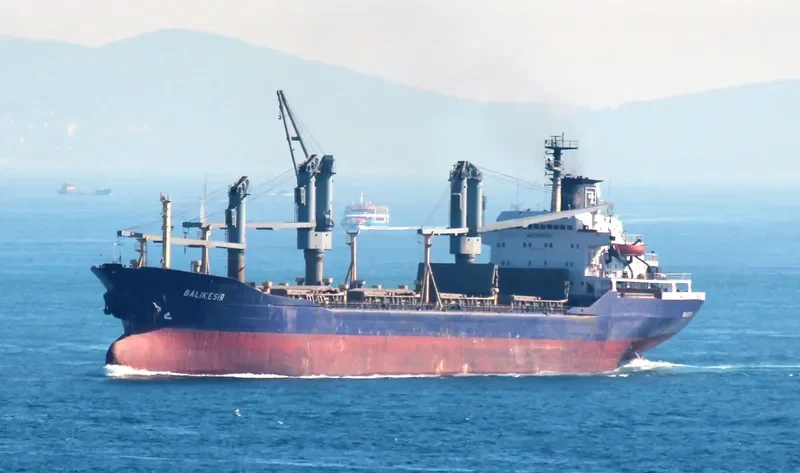 BALIKESIR Bulk Carrier IMO 7389883 photo 2