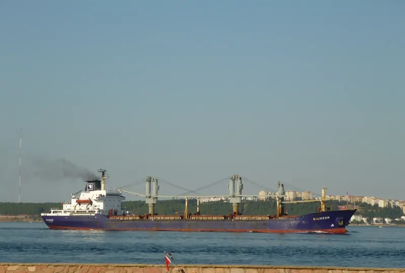BALIKESIR Bulk Carrier IMO 7389883 photo 3