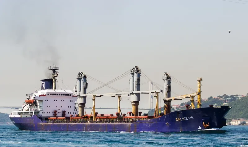 BALIKESIR Bulk Carrier IMO 7389883 photo 6