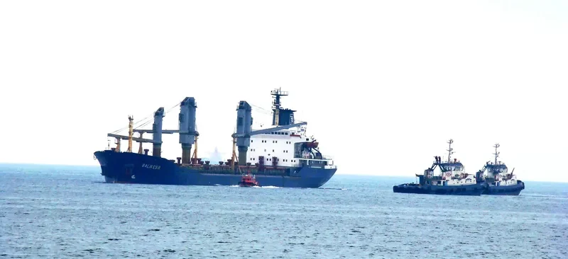 BALIKESIR Bulk Carrier IMO 7389883 photo 8