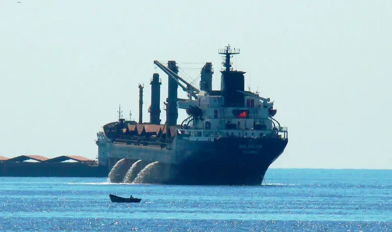 BALIKESIR Bulk Carrier IMO 7389883 photo 10