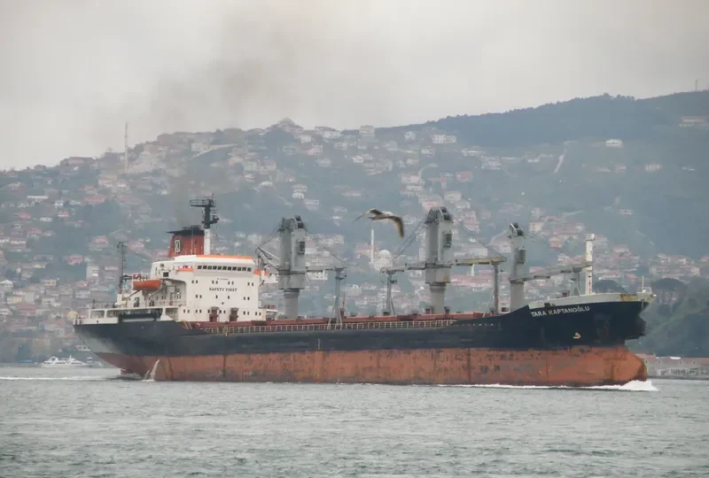 TARA KAPTANOGLU Bulk Carrier IMO 7389895 photo 5