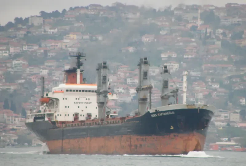 TARA KAPTANOGLU Bulk Carrier IMO 7389895 photo 6