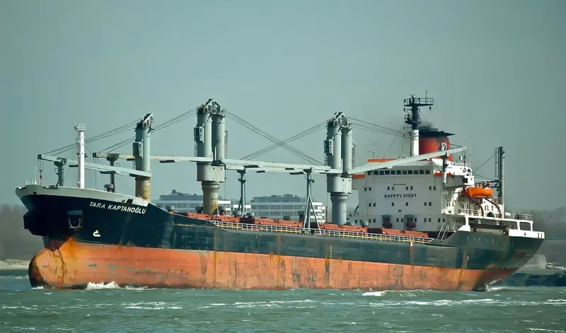 TARA KAPTANOGLU Bulk Carrier IMO 7389895 photo 7