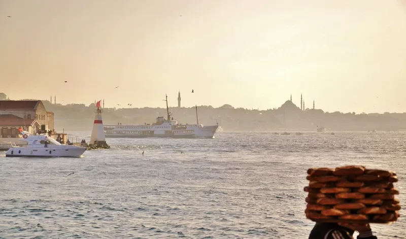 SEHIT ADEM YAVUZ Passenger Vessel IMO 7389900 photo 9
