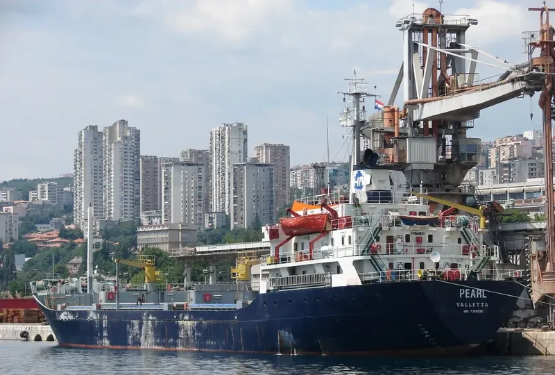 PEARL General Cargo IMO 7390026 photo 3