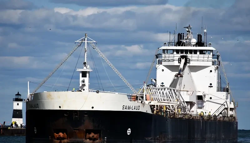 SAM LAUD Bulk Carrier IMO 7390210 photo 3