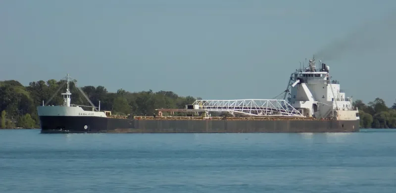 SAM LAUD Bulk Carrier IMO 7390210 photo 6