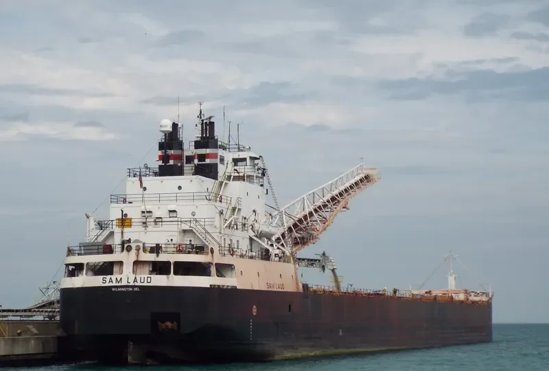 SAM LAUD Bulk Carrier IMO 7390210 photo 7