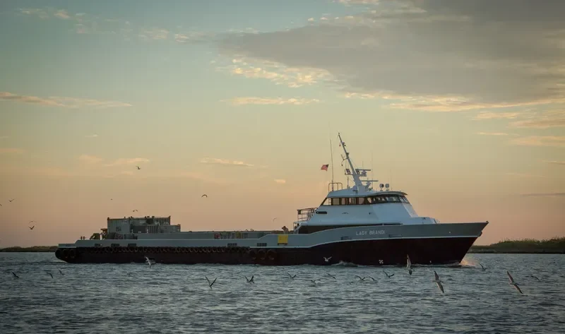 WARRIOR General Cargo IMO 7390909