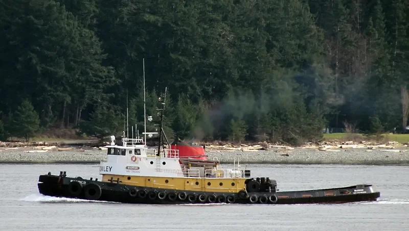 WARRIOR General Cargo IMO 7390909 photo 7