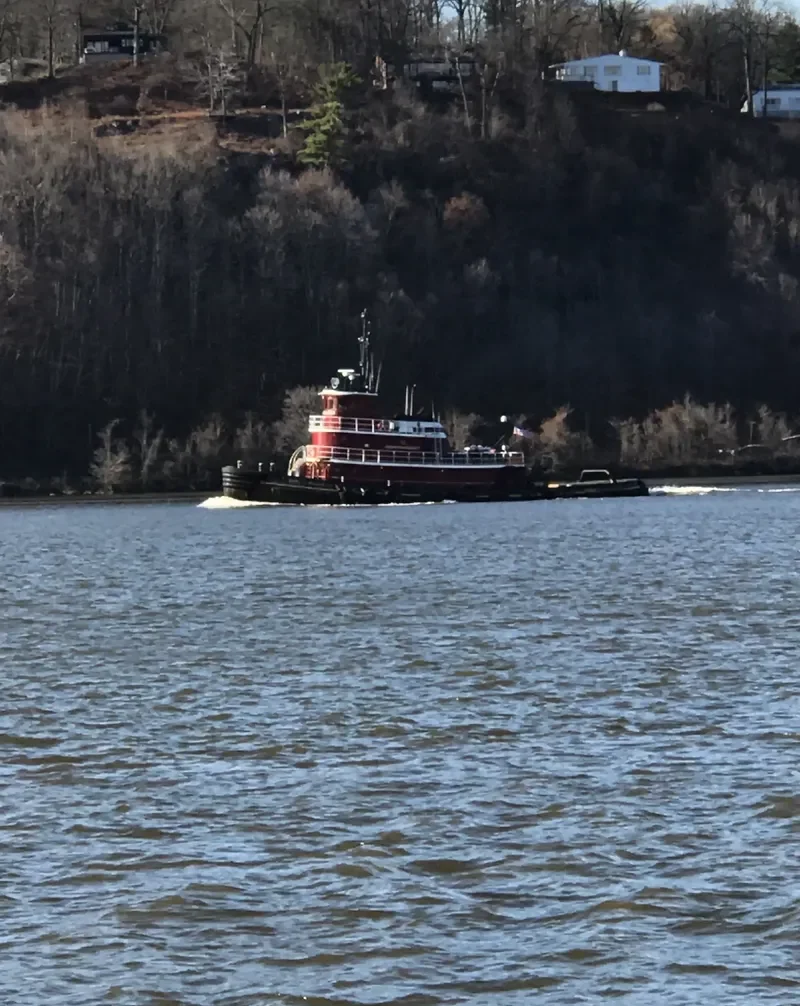 BRUCE A.MCALLISTER Tug Boat IMO 7391018 photo 3