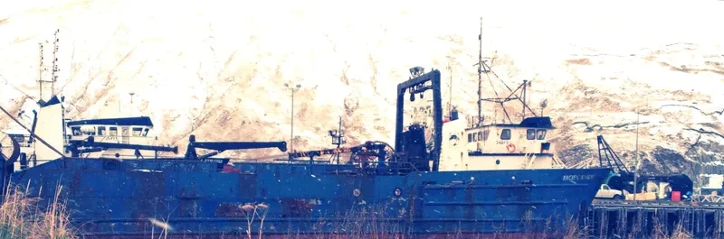 PACIFIC KNIGHT Fishing Vessel IMO 7391070