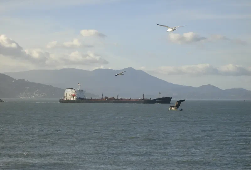 WASHINGTON VOYAGER Tanker IMO 7391226 photo 4