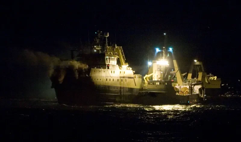 PHOENIX General Cargo IMO 7391276 photo 3
