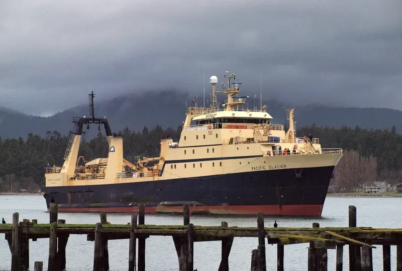 PHOENIX General Cargo IMO 7391276 photo 5