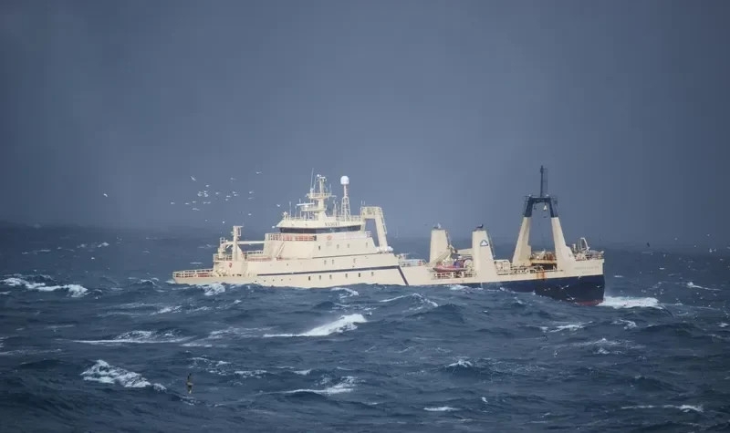 PHOENIX General Cargo IMO 7391276 photo 7