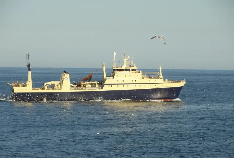 PHOENIX General Cargo IMO 7391276 photo 9