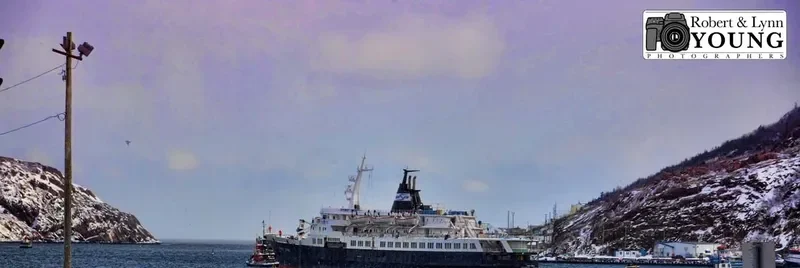 LYUBOV ORLOVA Passenger Ship IMO 7391434 photo 4