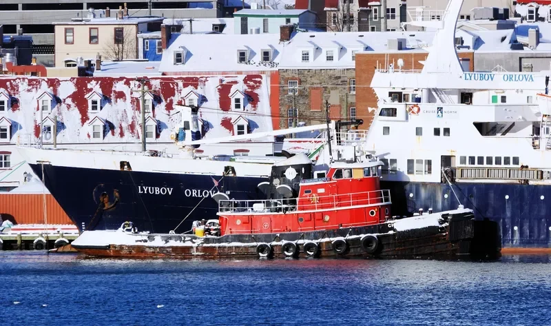 LYUBOV ORLOVA Passenger Ship IMO 7391434 photo 5