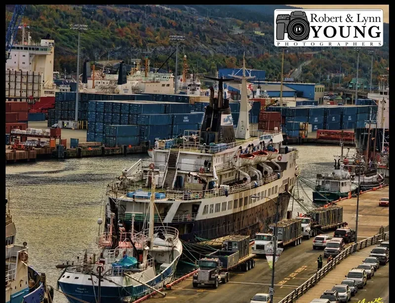 LYUBOV ORLOVA Passenger Ship IMO 7391434 photo 6