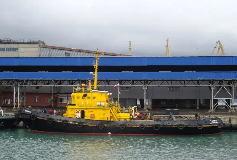 TAYFUN Tug Boat IMO 7391678