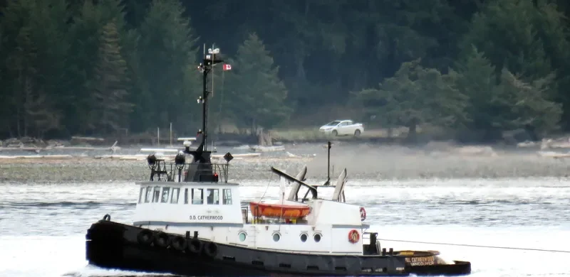 DD CATHERWOOD Tug Boat IMO 7391965 photo 3