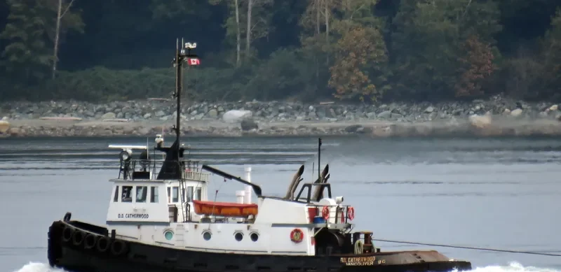 DD CATHERWOOD Tug Boat IMO 7391965 photo 4