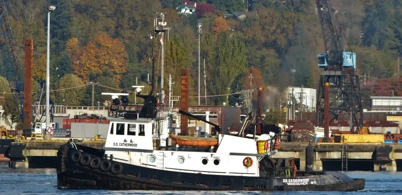 DD CATHERWOOD Tug Boat IMO 7391965 photo 8
