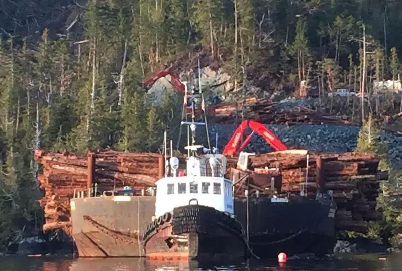 BALLANTYNE STRAITS Tug Boat IMO 7391977 photo 2