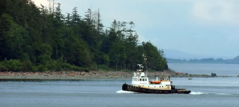 BALLANTYNE STRAITS Tug Boat IMO 7391977 photo 9