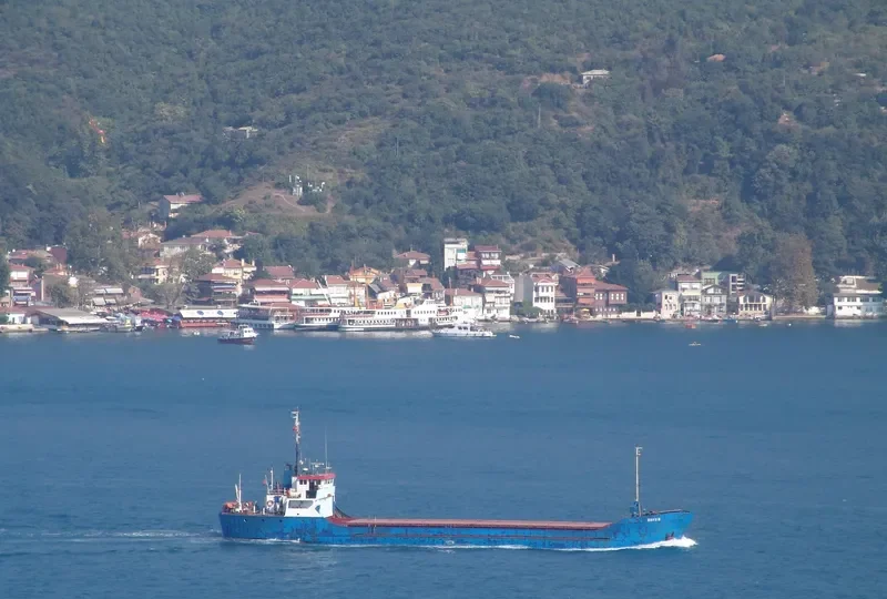 SAFE M General Cargo IMO 7392012 photo 2